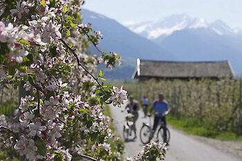 Frühlingserwachen in Südtirol
